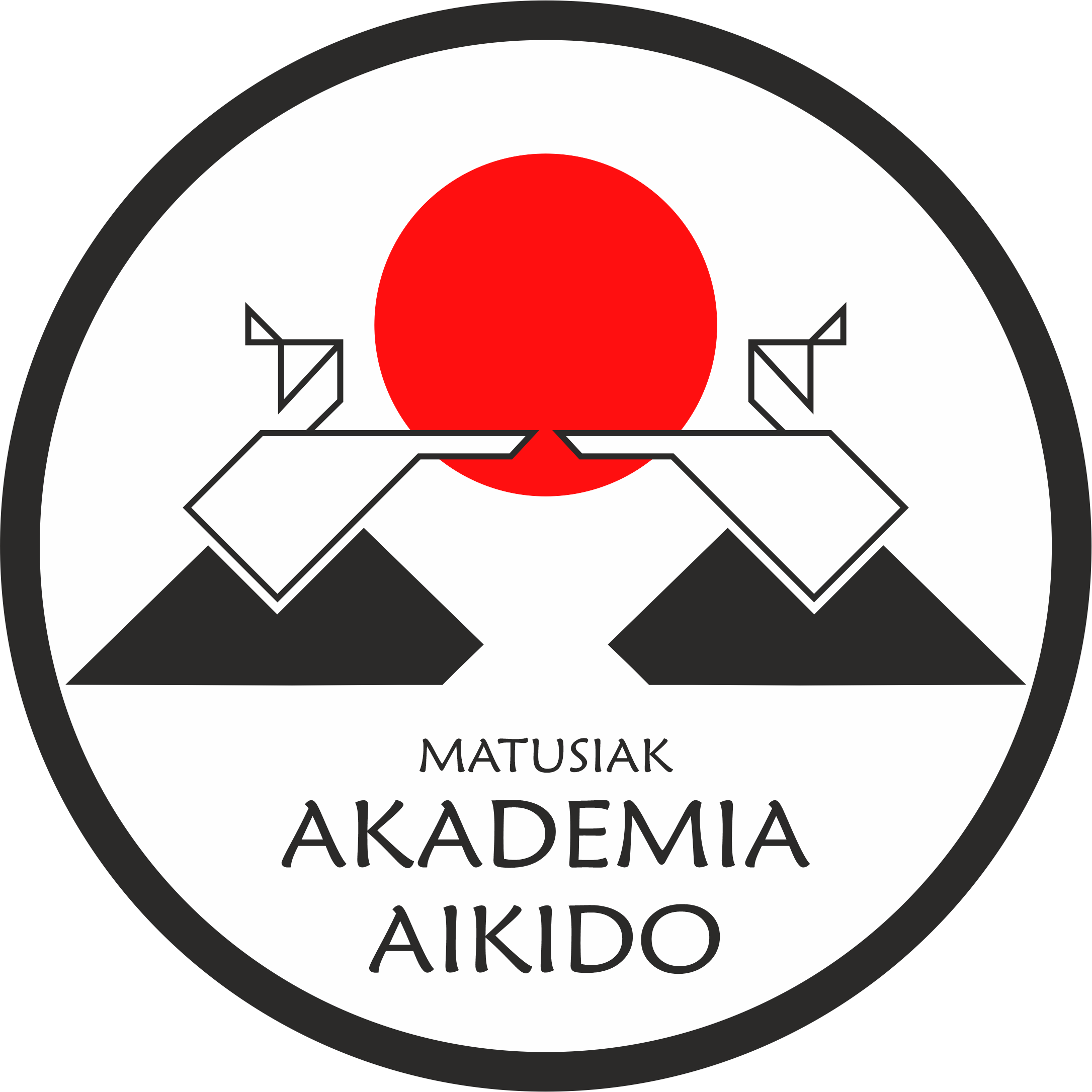 Aikido – Akademia Matusiak